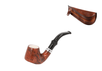 11060_Item_300013.png